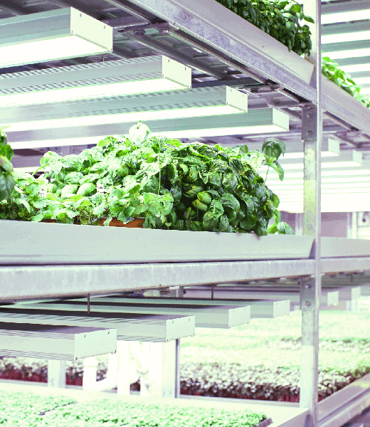 April Sun Vertical-Farming Facility