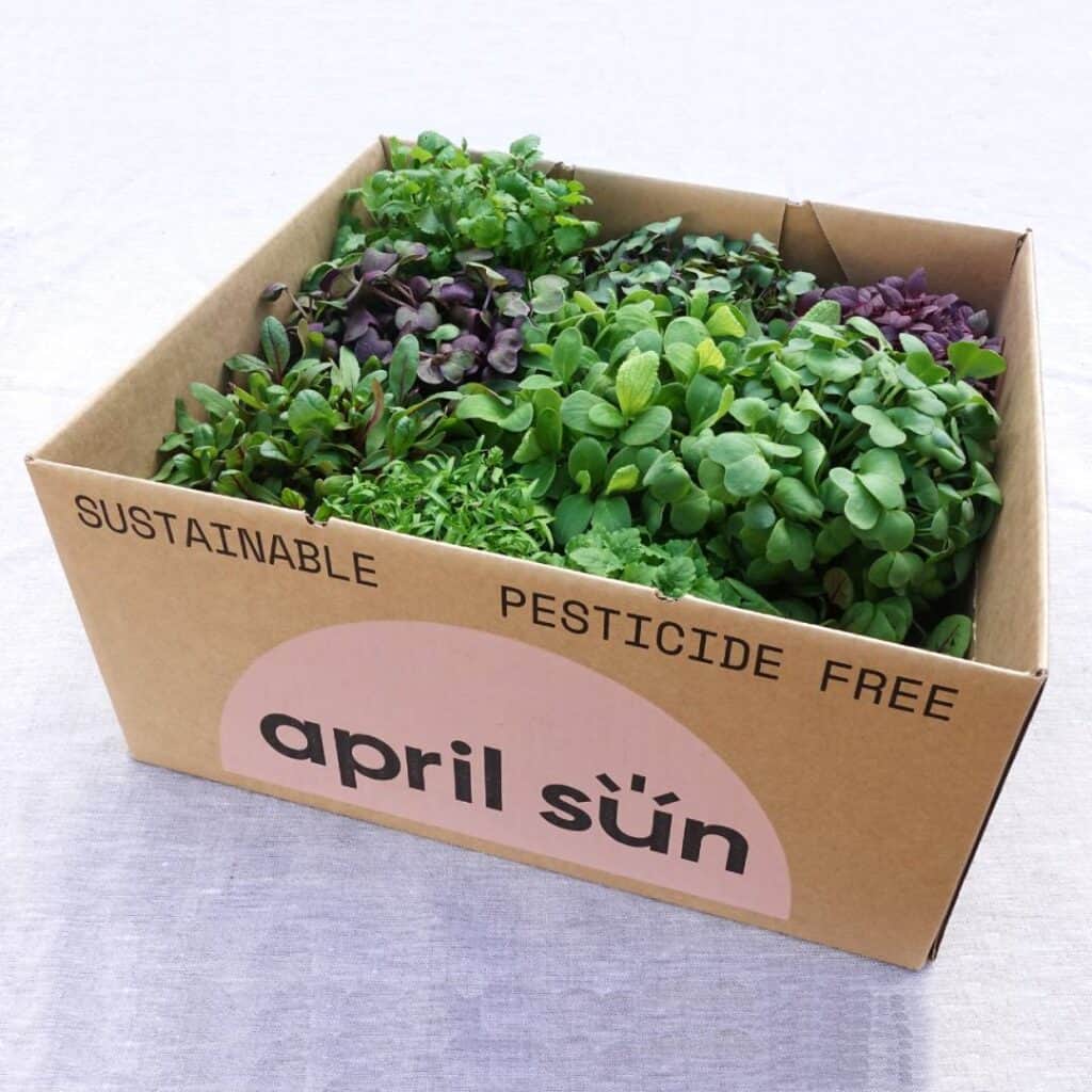 Microgreens In Box MICRO MIX BOX – 6-PACK – April Sun Farms